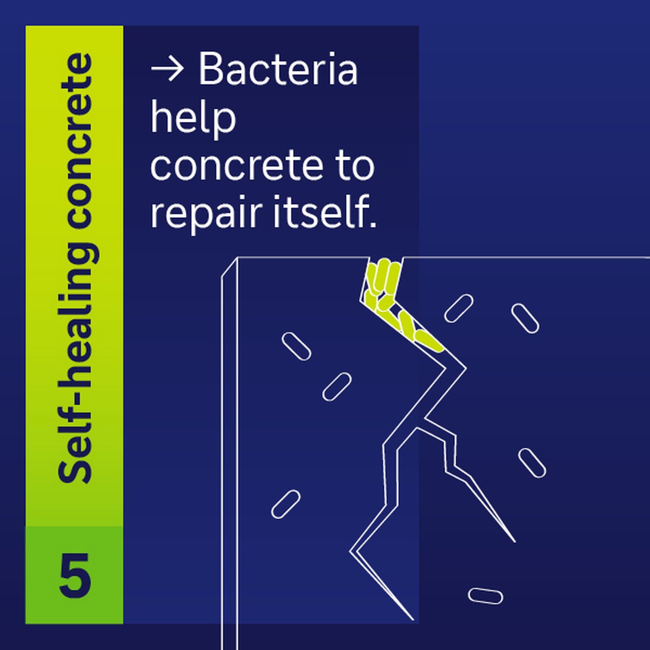 Selfhealing concrete bacteria help concrete to repair itself