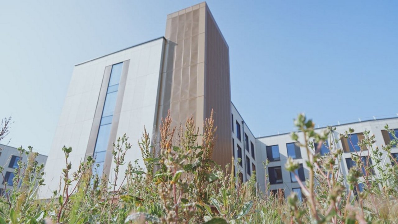 A low-angle shot of a East Park, University of Exeter.