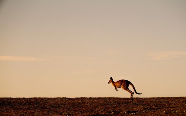 Deutsche Bank named top bank for international markets research in Australia two years in a row