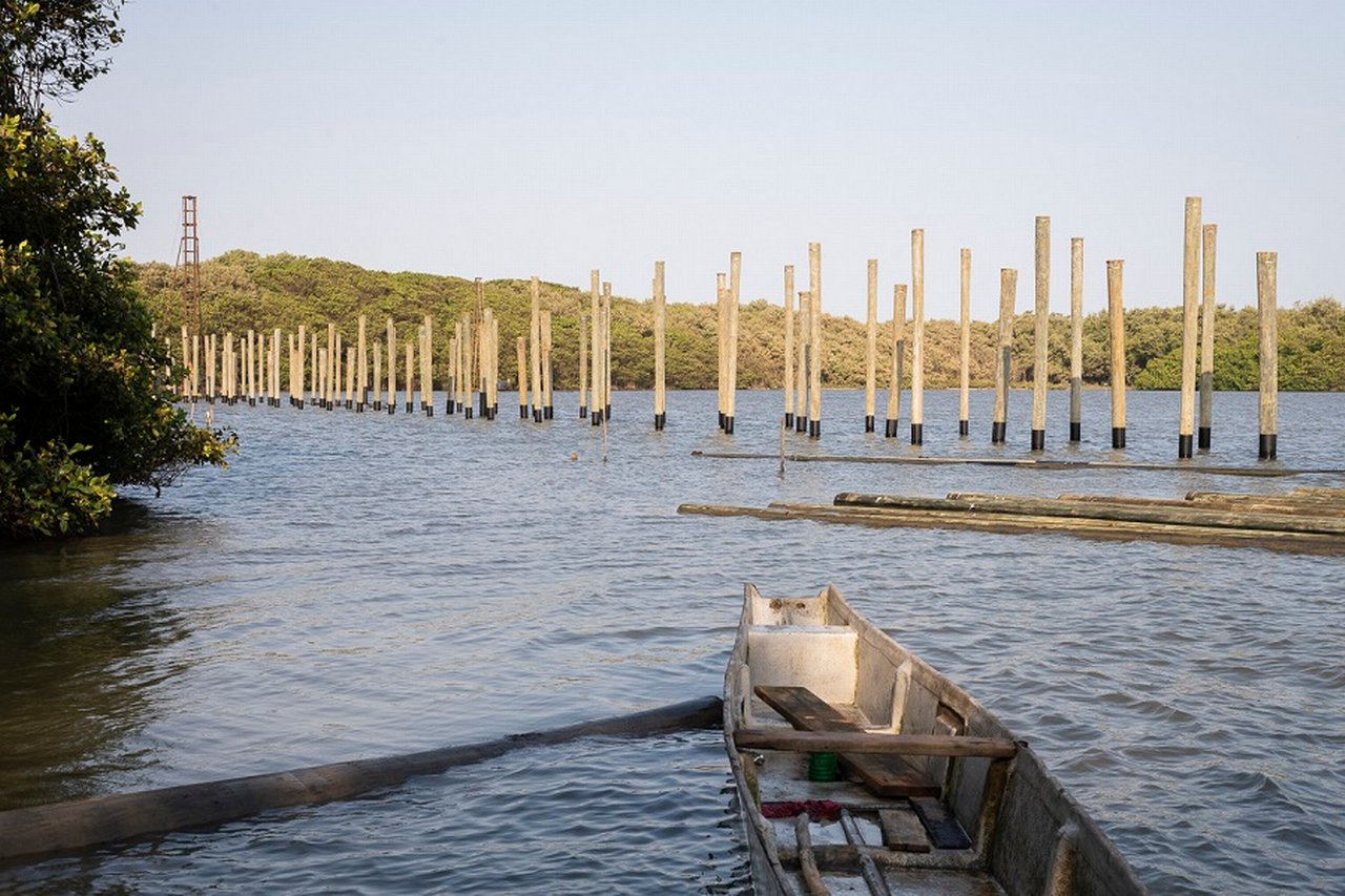 Barranquilla – Ciénaga de Mallorquín – water boat