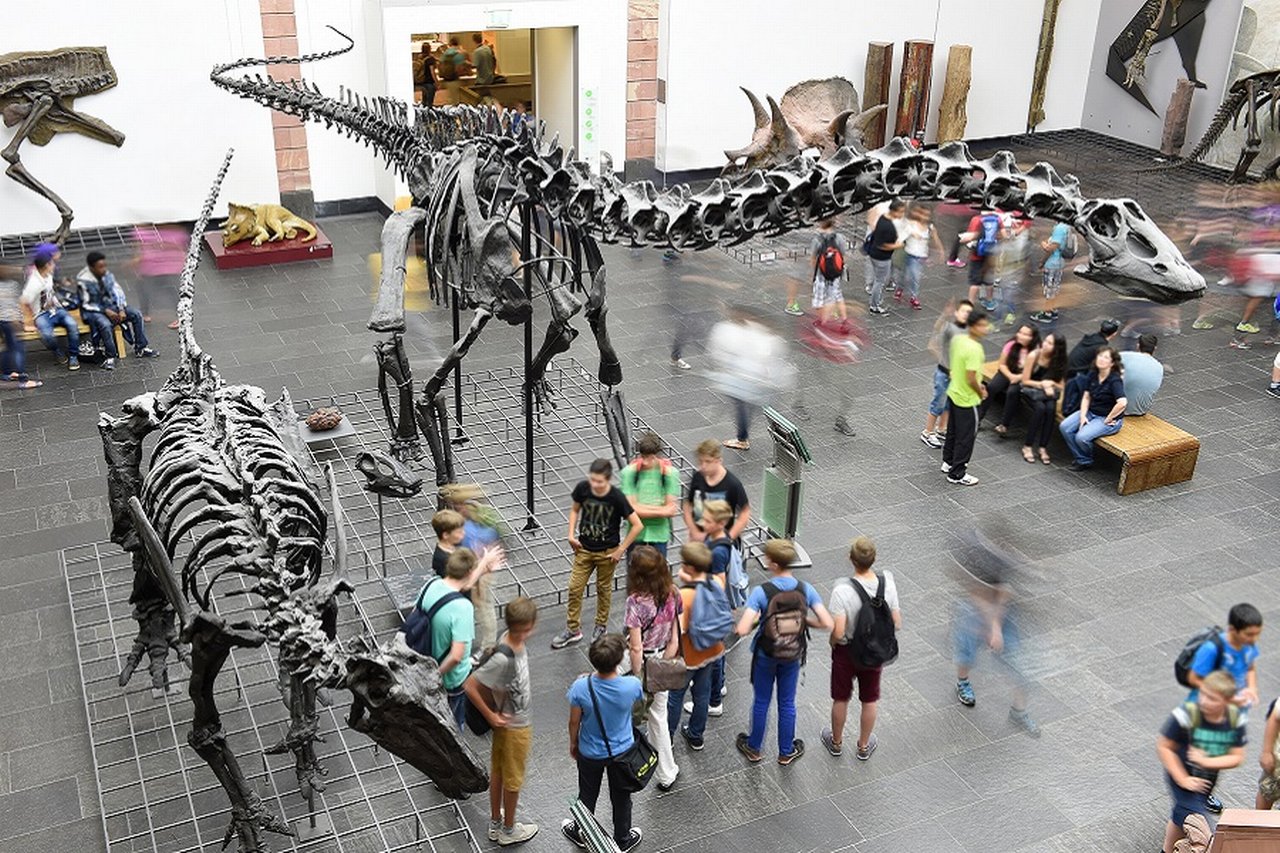 Dinosaurs in Senckenberg-Museum (c) Sven Tränkner