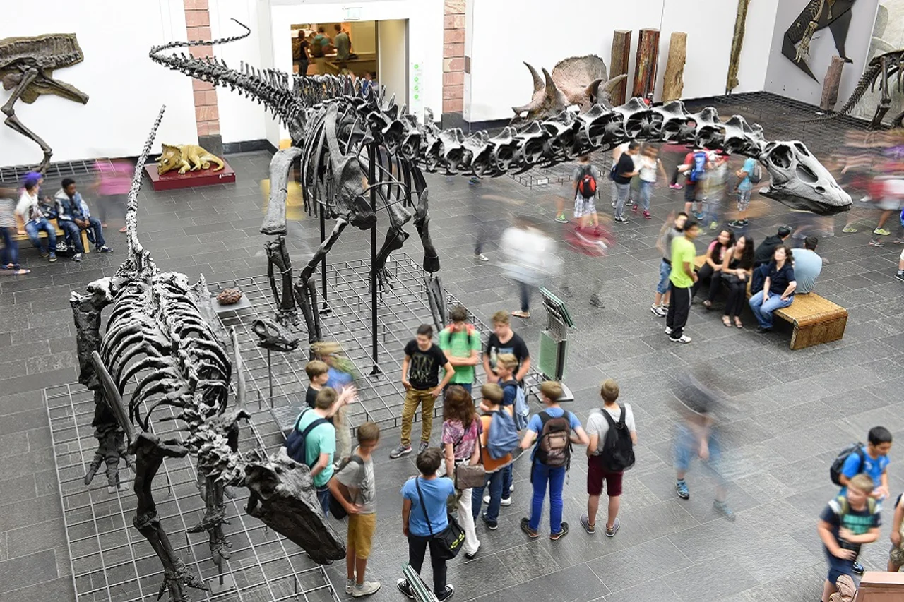 Dinosaal im Senckenberg-Museum © Sven Tränkner