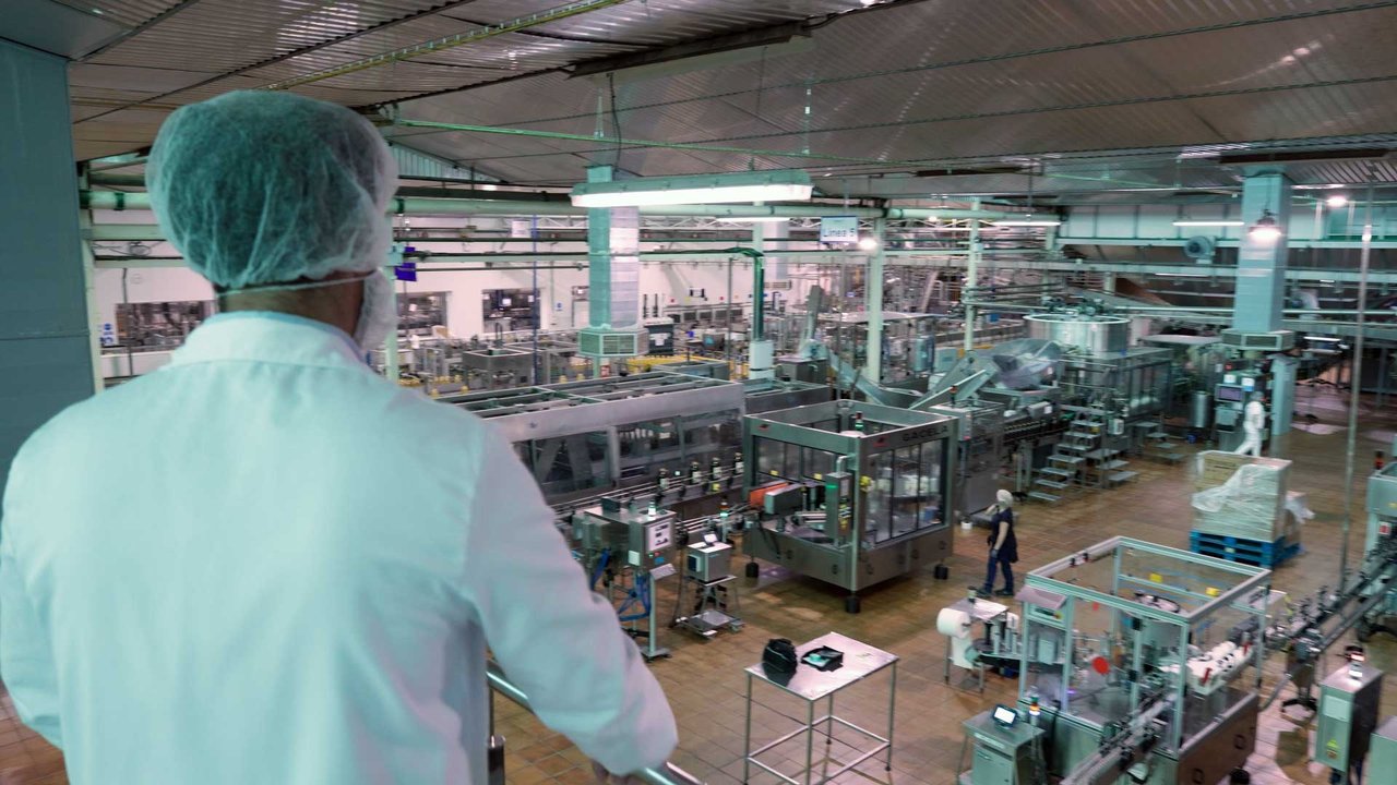 Olive oil production hall