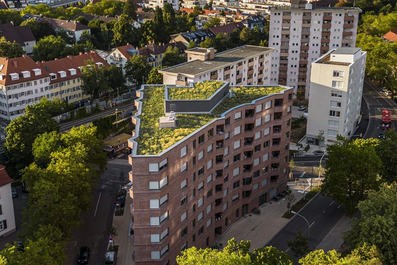 Extensive green roof