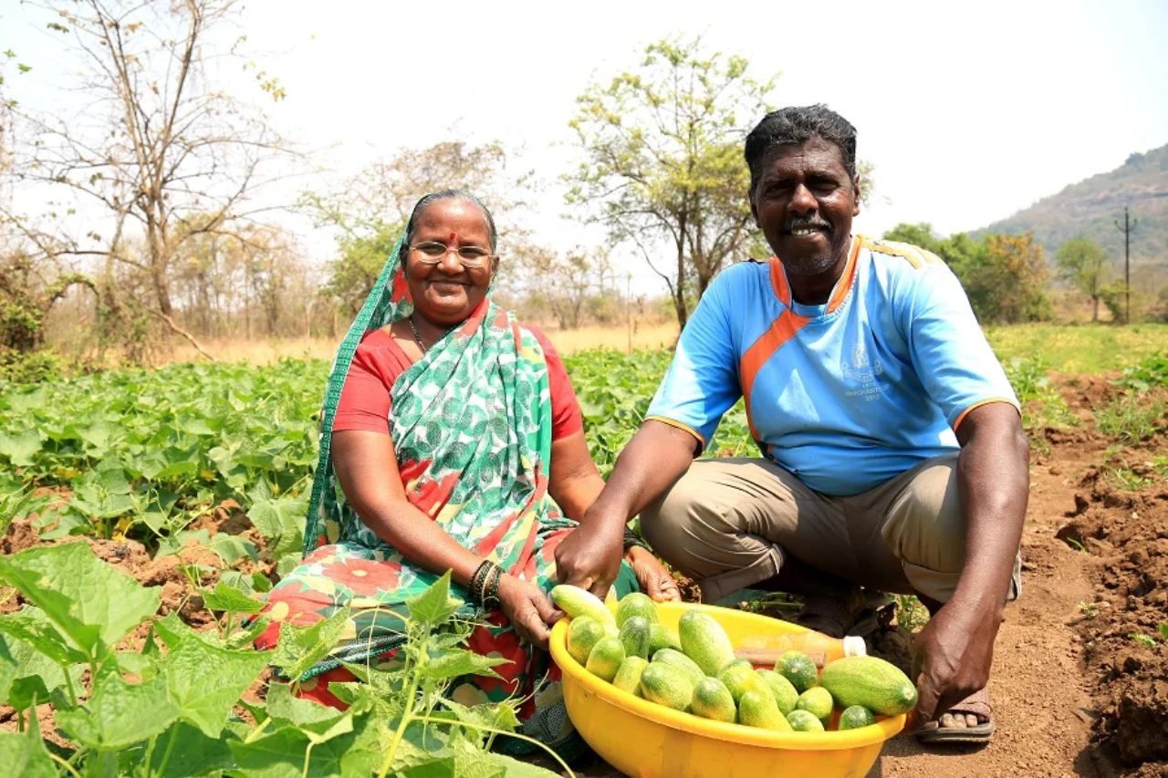 Swades Foundation – Bauernfamilie ernten Kürbisgewächse