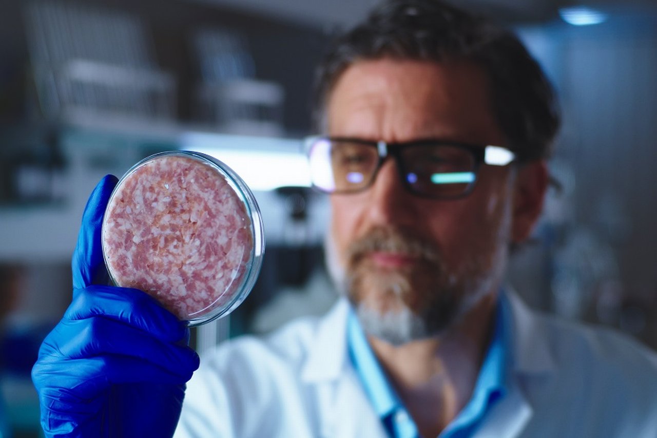 Lab grown meat