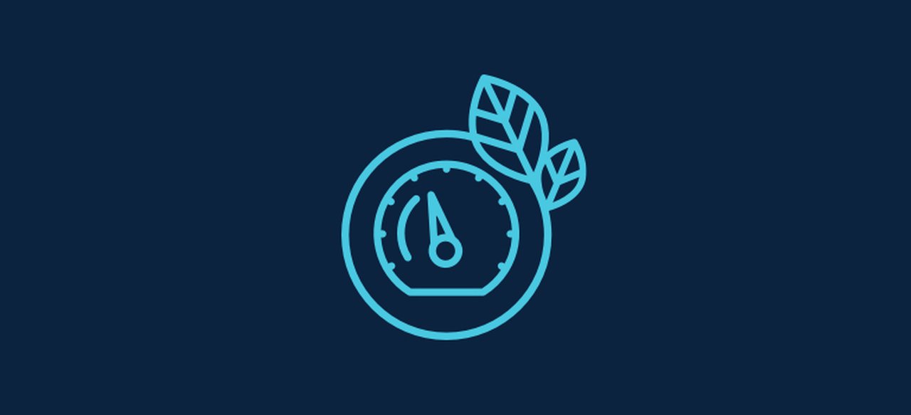 Symbol in the form of a speedometer in a circle and two leaves on the side.