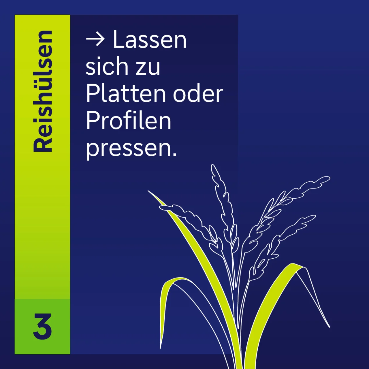 Reishülsen