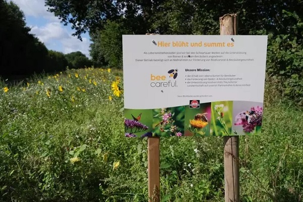 Bee careful Schwartau desription