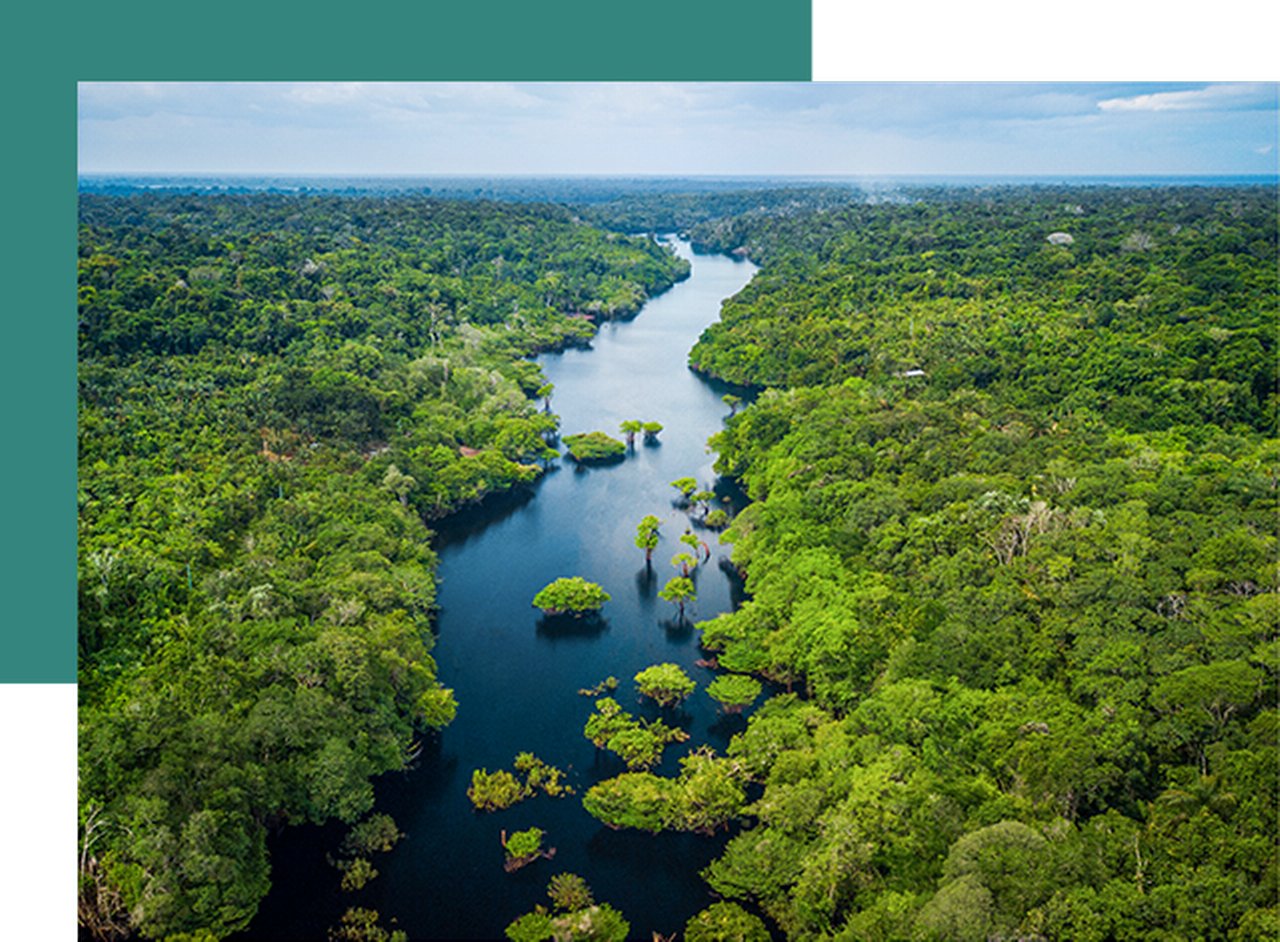 A naturally flowing river winds through a lush green forest landscape.