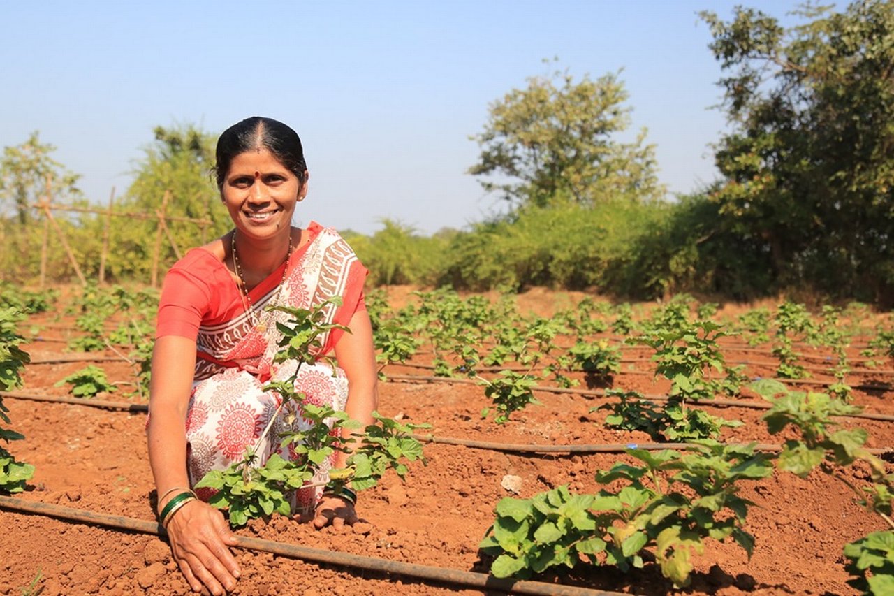 Swades foundation – Indian woman planting seedlings