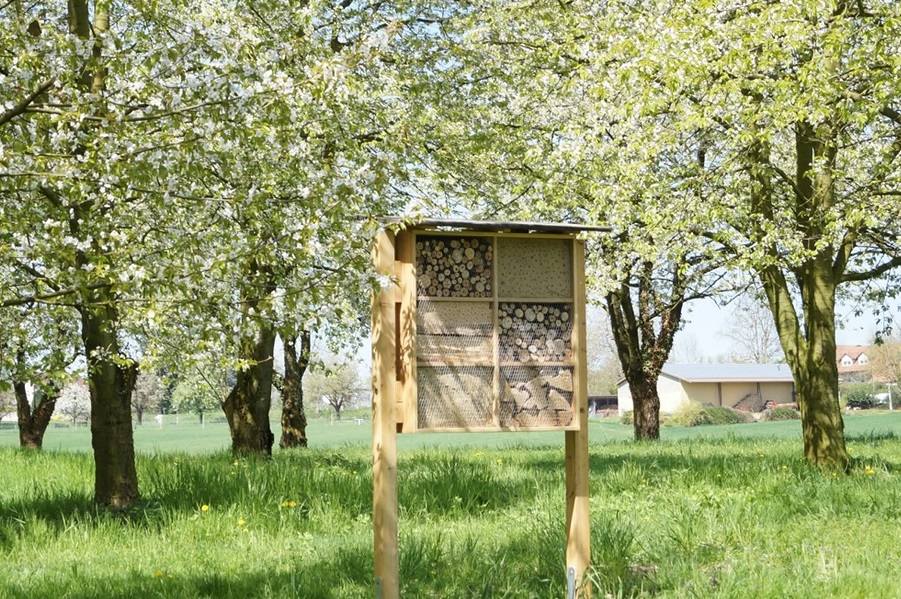 Bee careful insect hotel