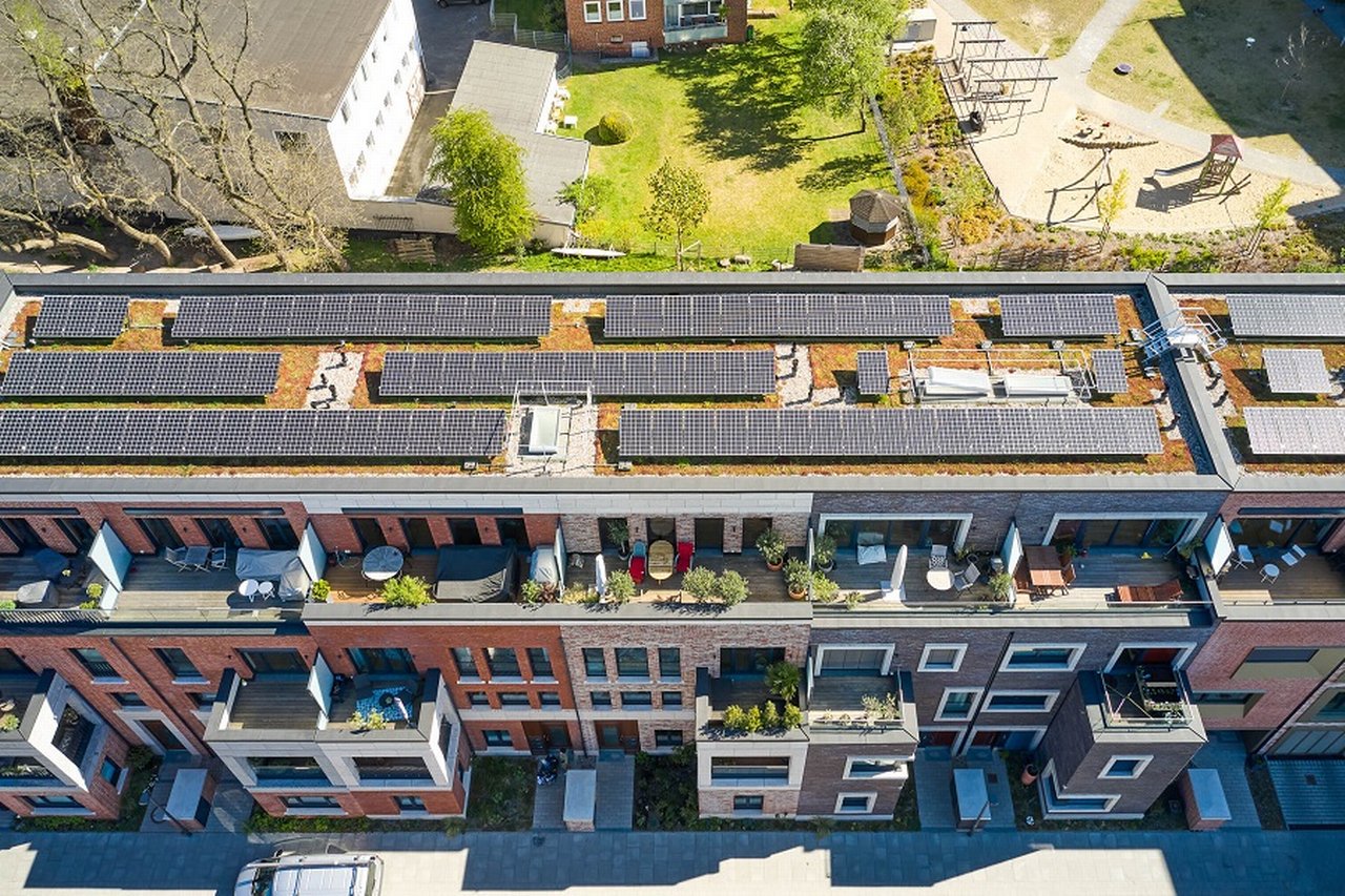 Solar green roof