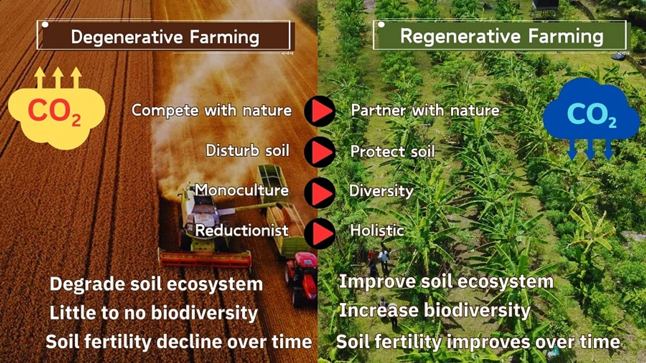 Infografik Biodiversität. Quelle: GPFM