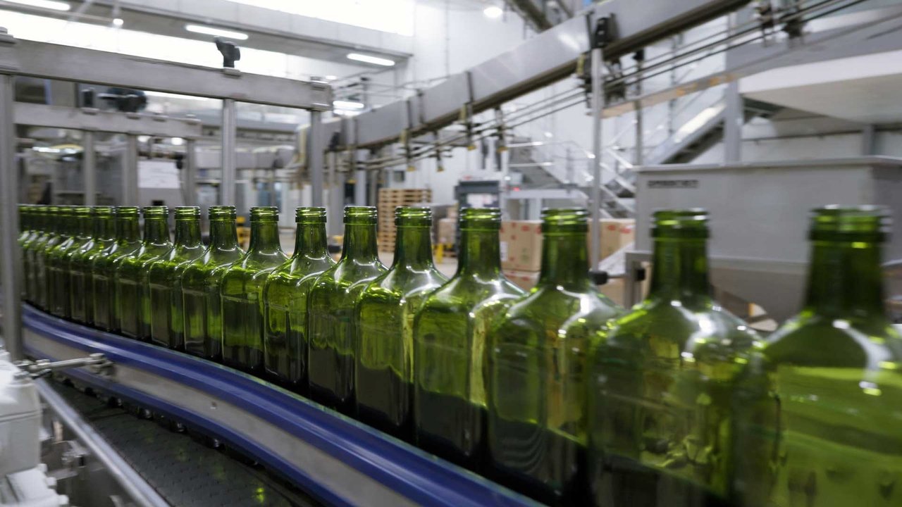 Olive oil bottles on assembly line