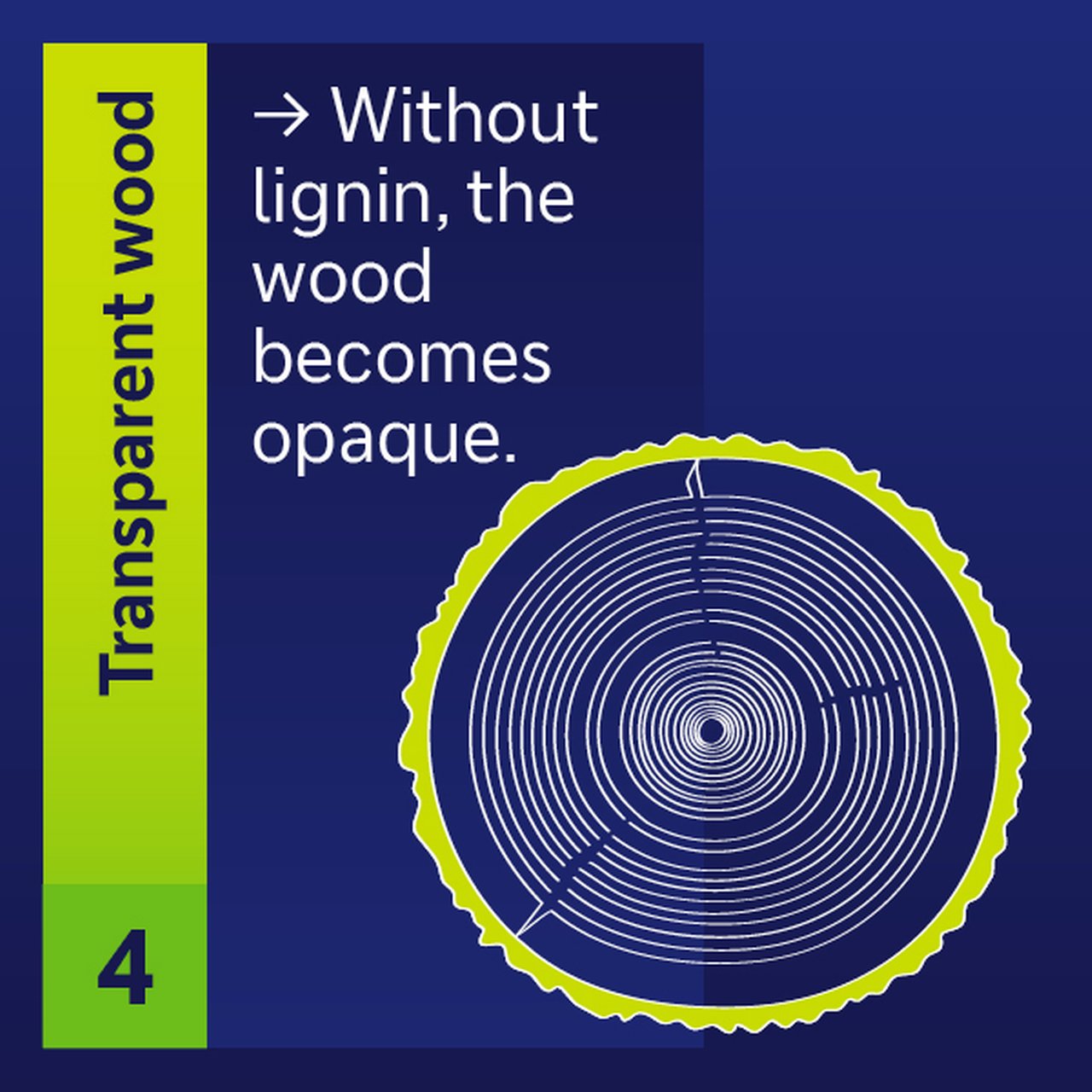 Transparent wood opaque