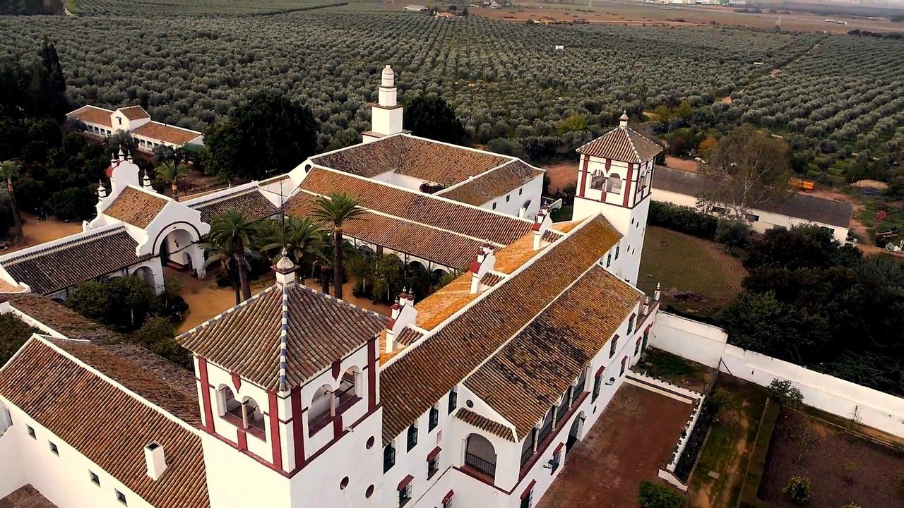 Acesur Hazienda