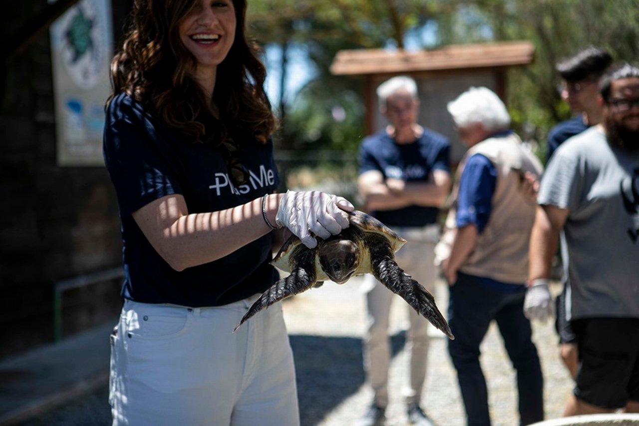 Volunteer with a turtle on the beach