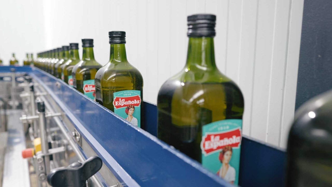 Production of olive oil