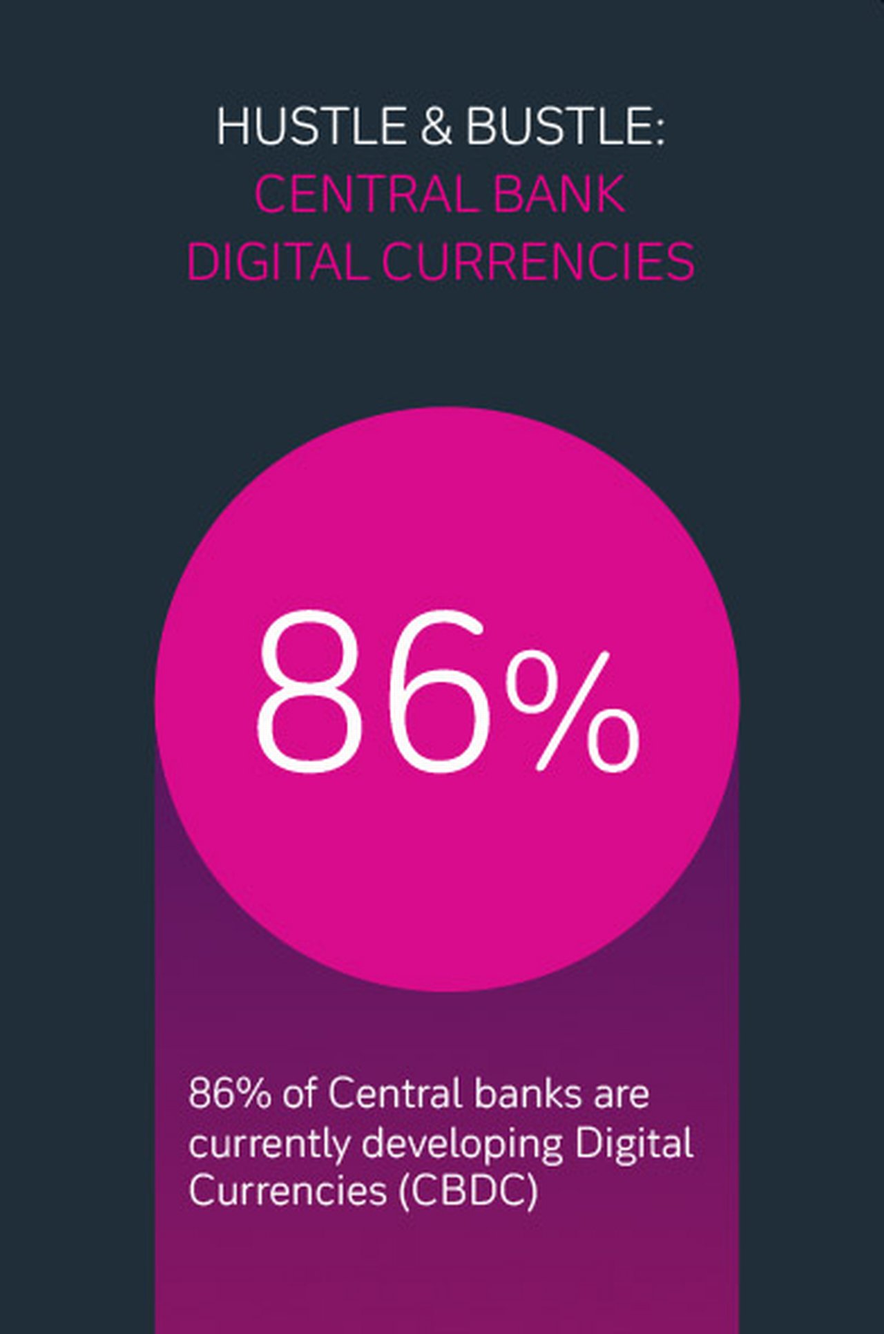 Payments Central Bank Digital Currencies