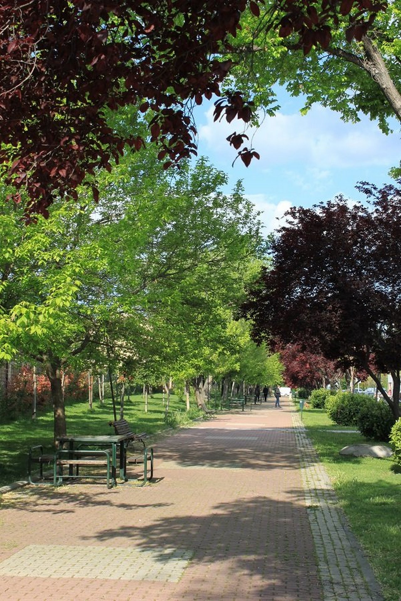 Green area