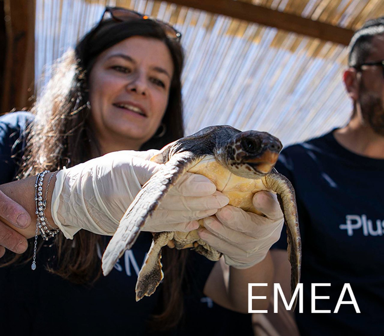 EMEA.png