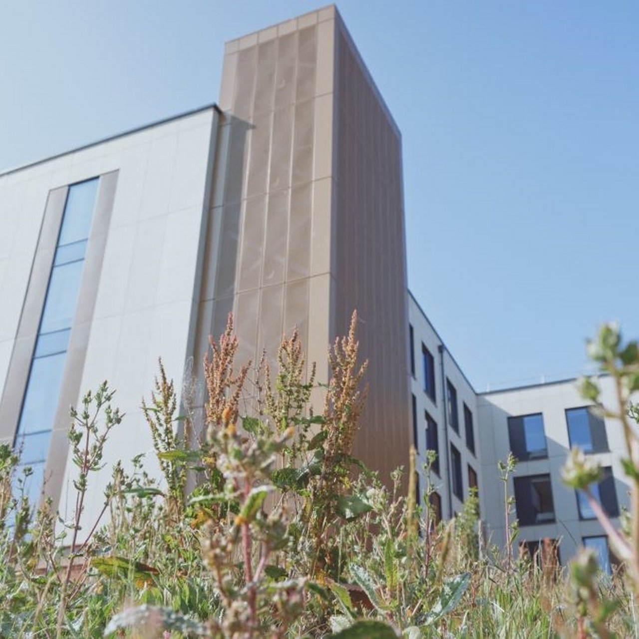 Biodiversity by UPP – East Park Campus in Exeter