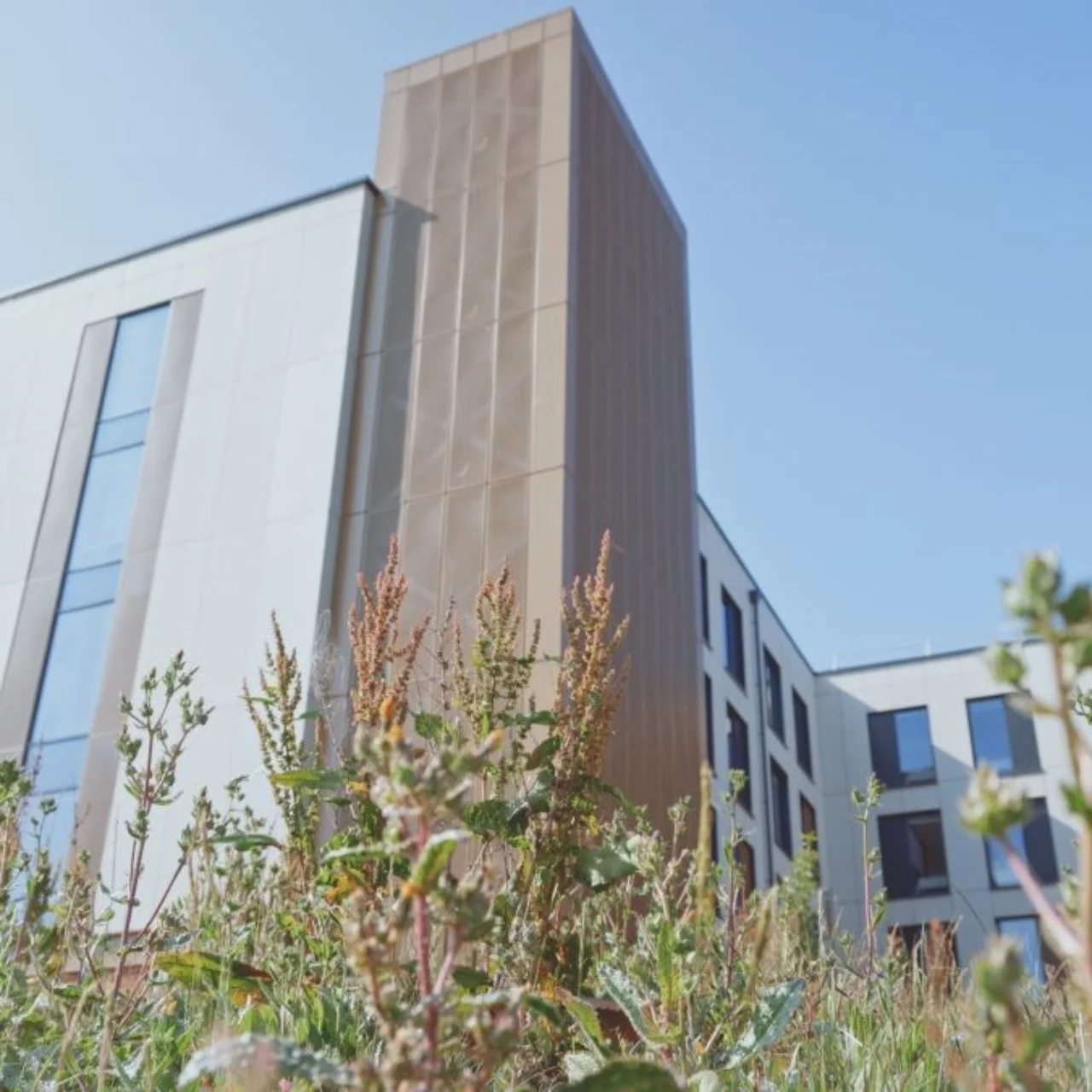 Biodiversity by UPP – East Park Campus in Exeter