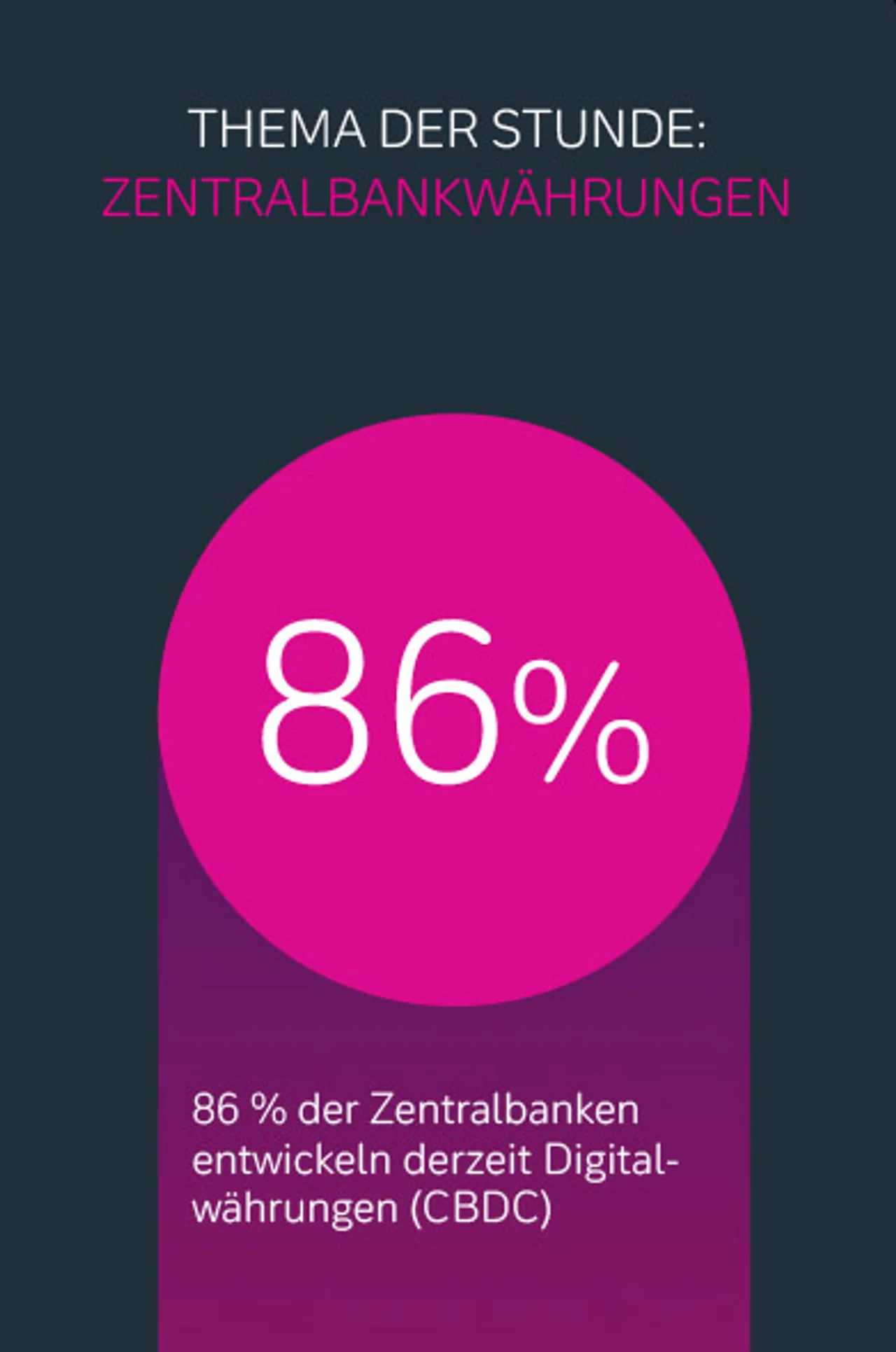 Zahlungsmethode Zentralbankwährungen