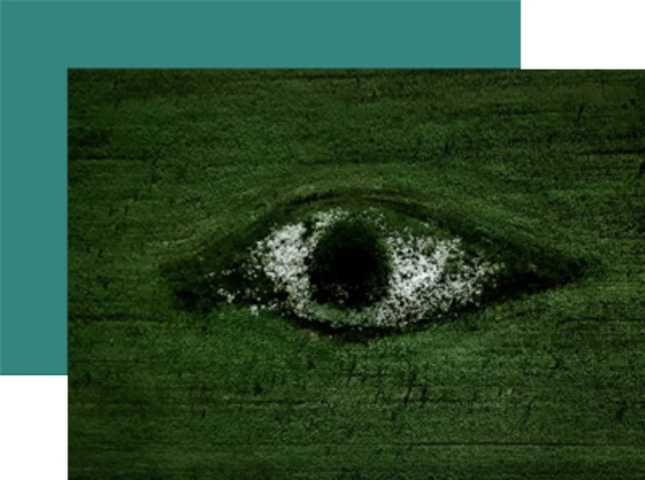 dbsustainability-green-eye.jpg
