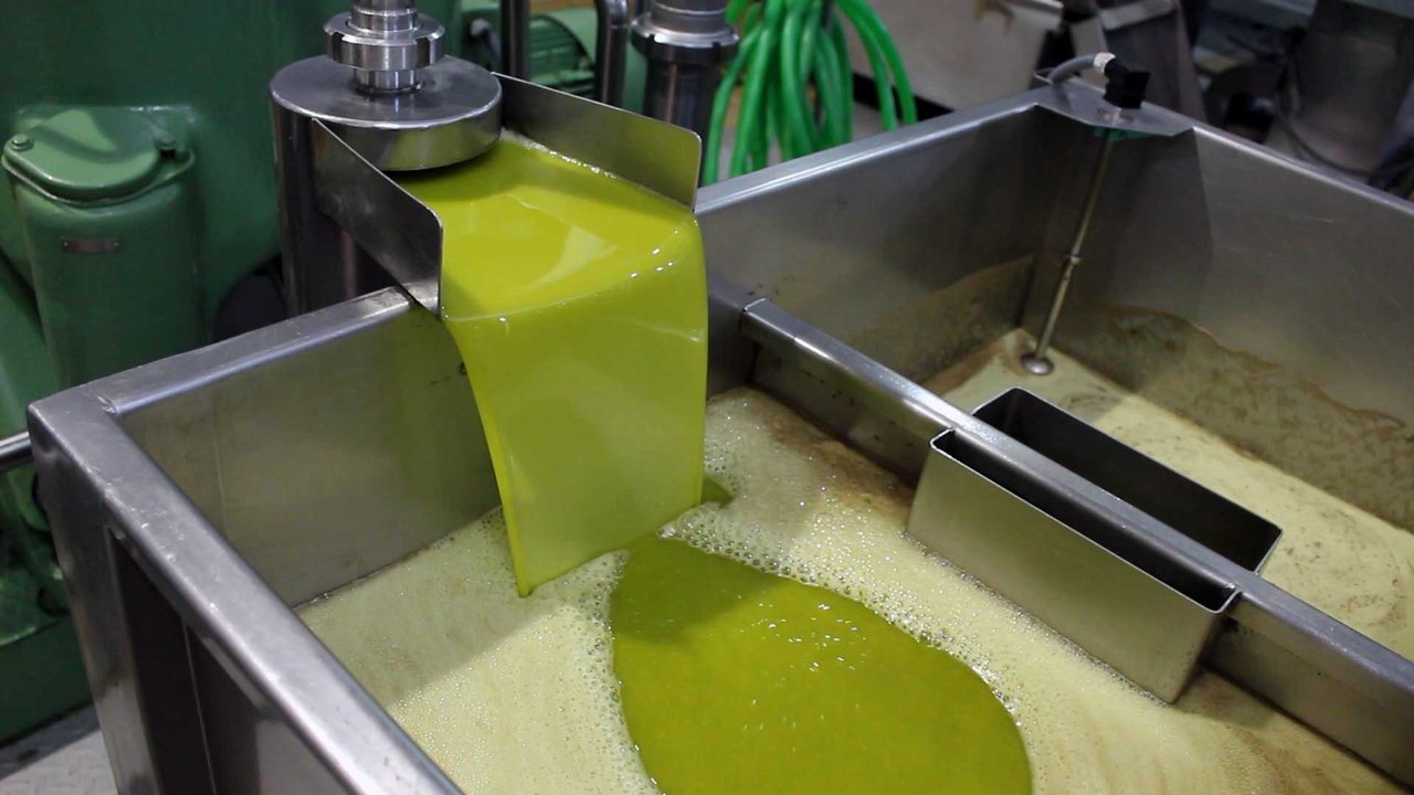 Olive oil
