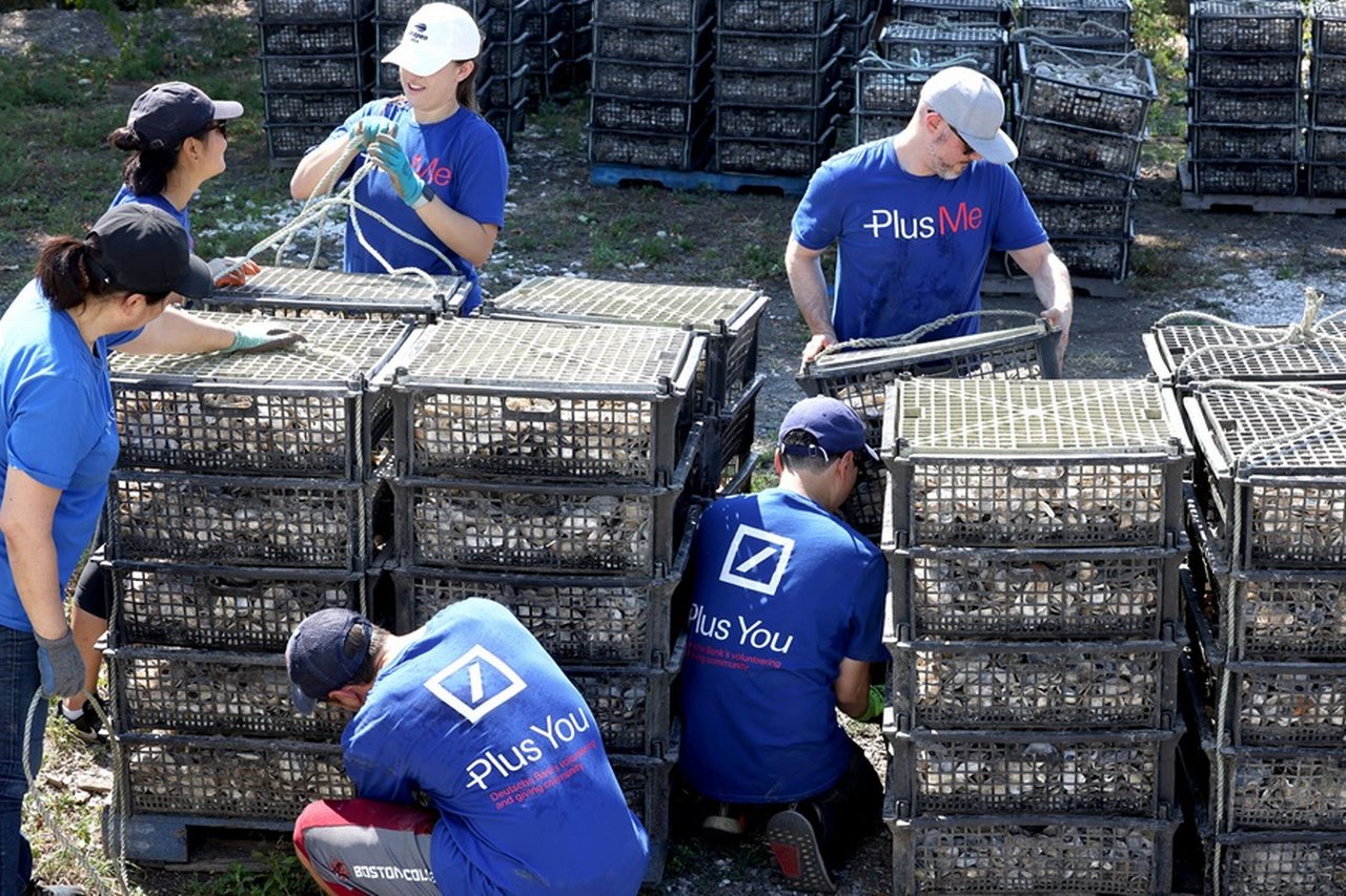 Billion-Oysters-Project.jpg