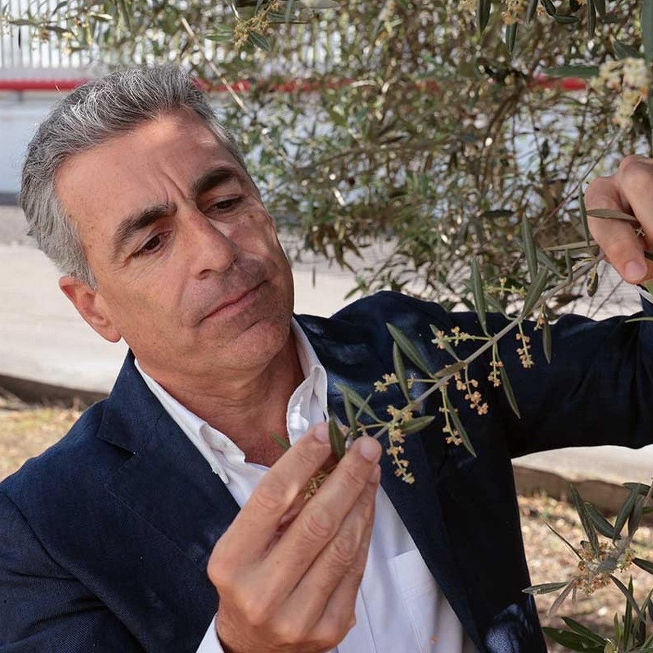Gonzalo Guillen