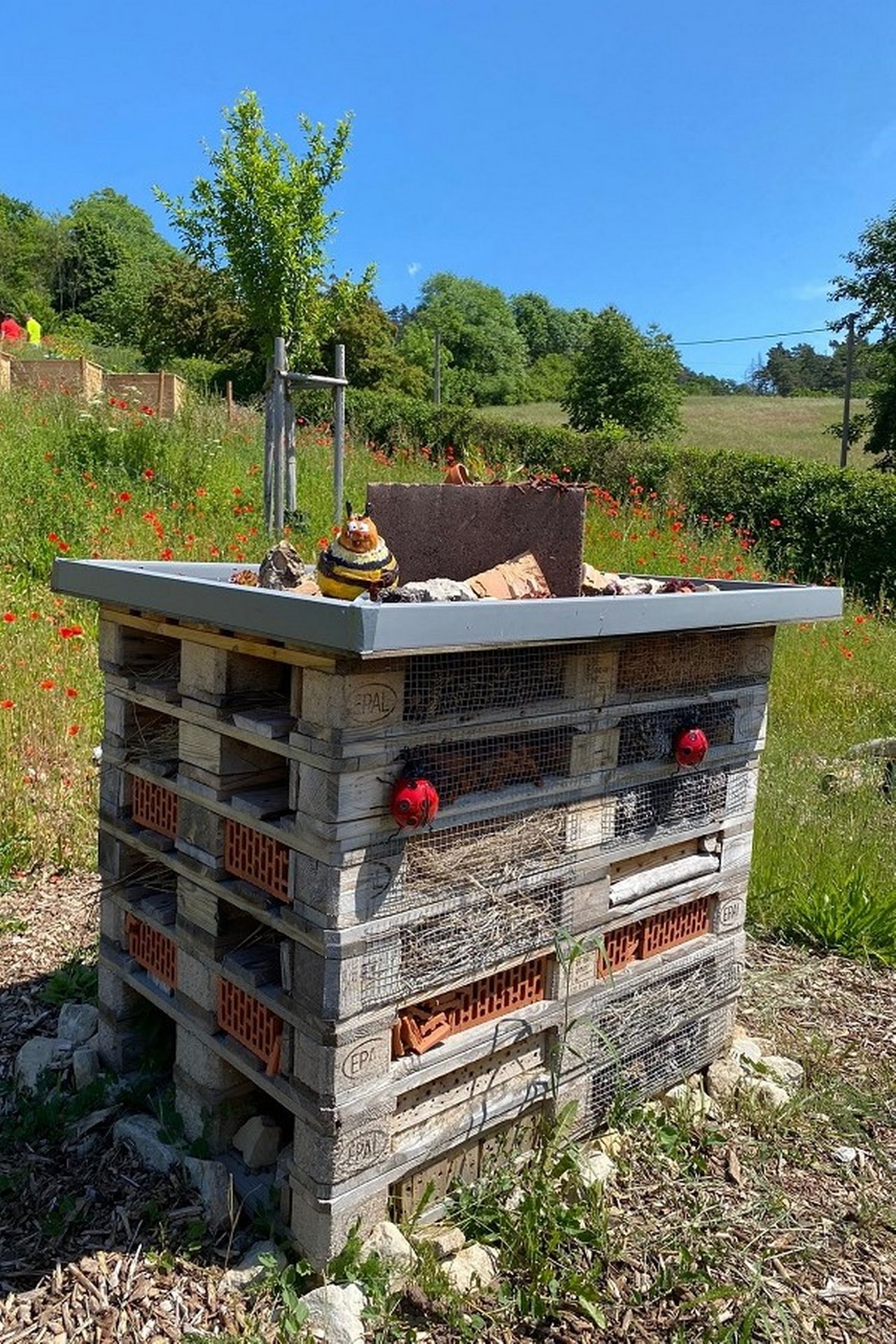 Insect hotel