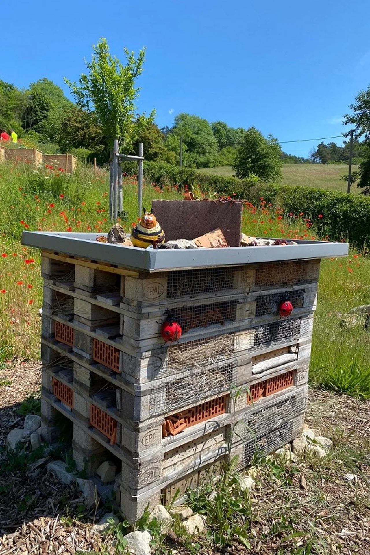 Insect hotel