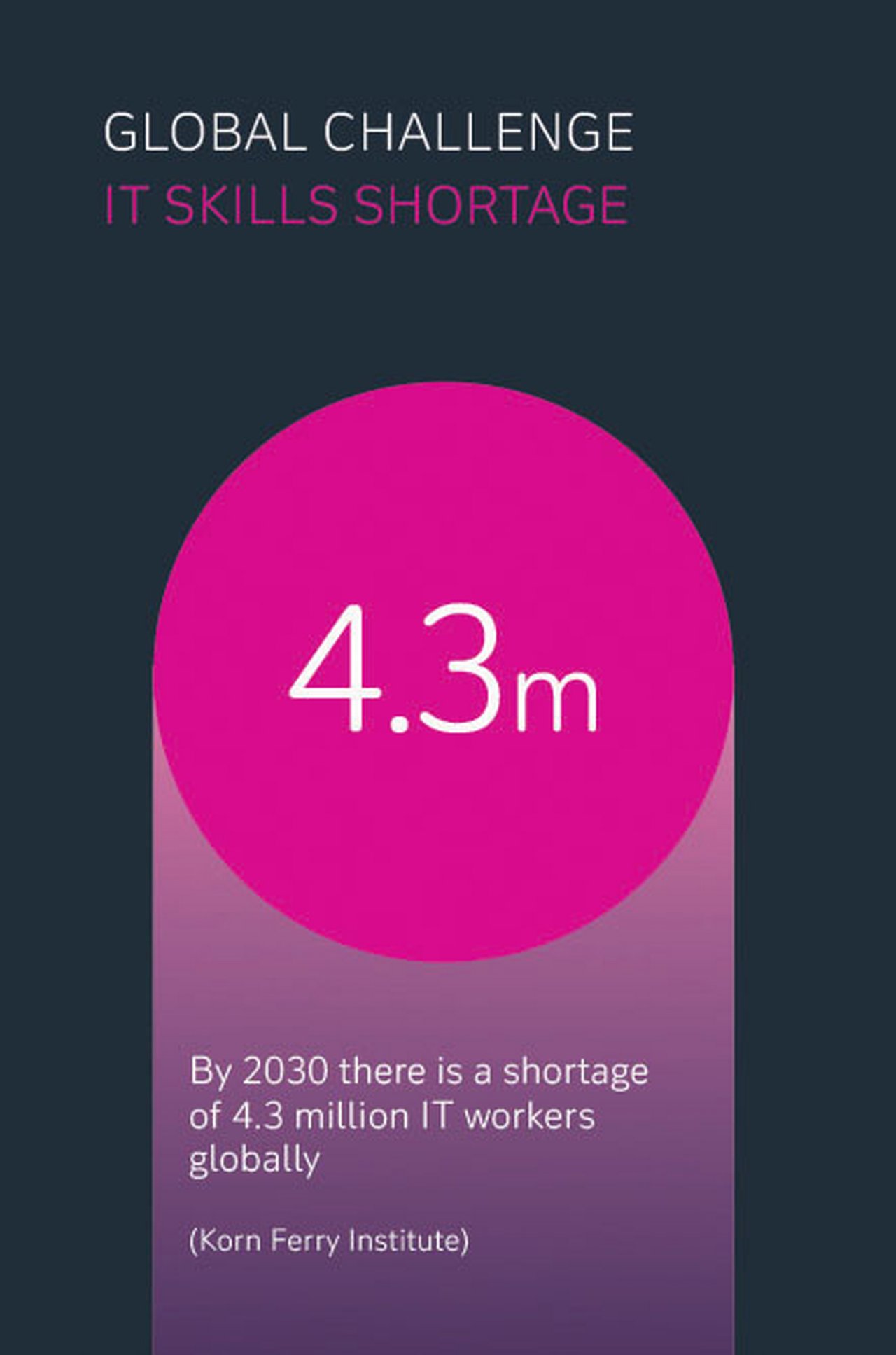 IT skills shortage