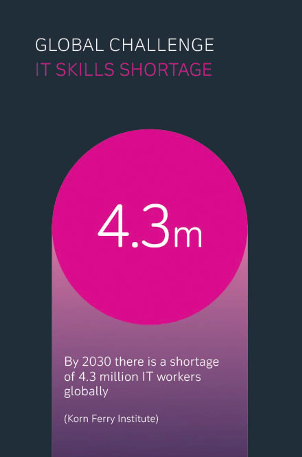 IT skills shortage