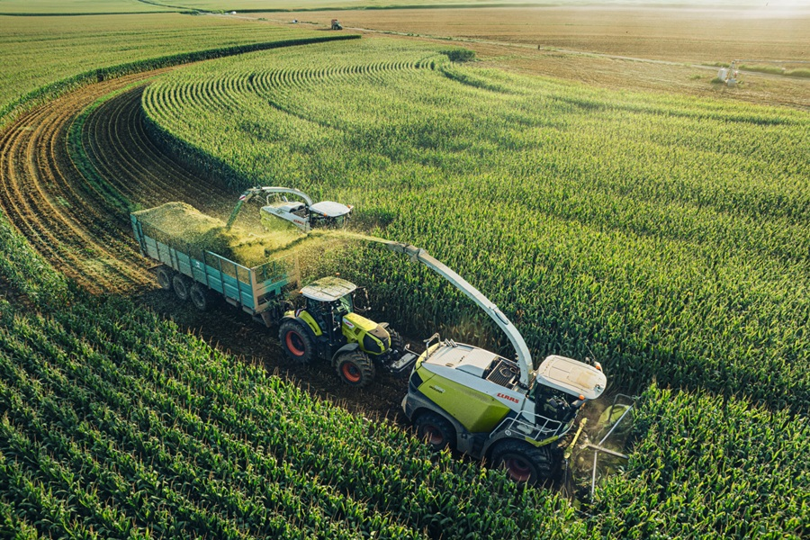 Precise maize harvest