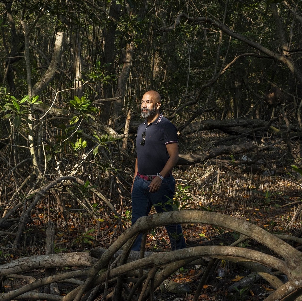 Gustavo Rochas stands amidst the tangled, exposed roots of a mangrove swamp.