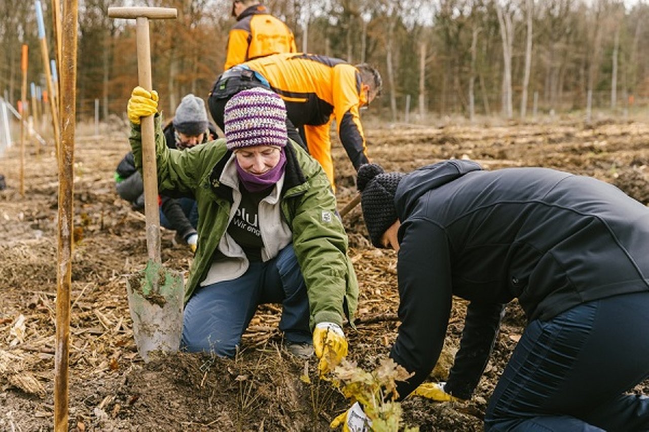 Volunteers planting trees