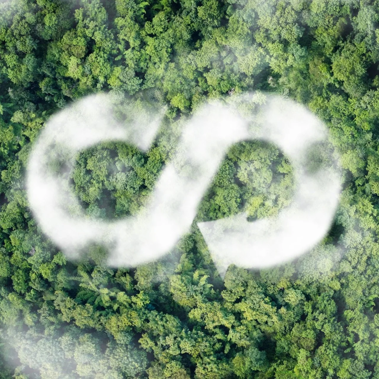 Circular economy to preserve natural ressources