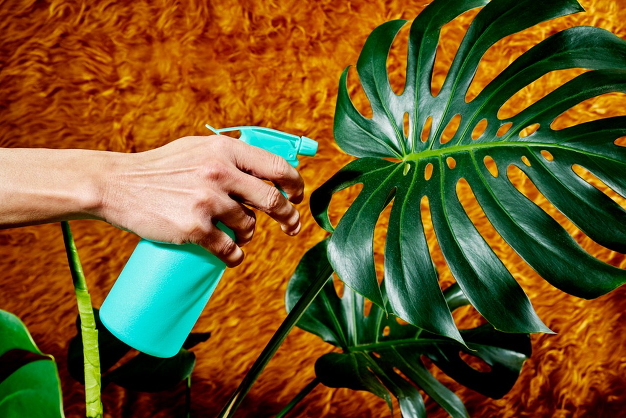 Spraying water