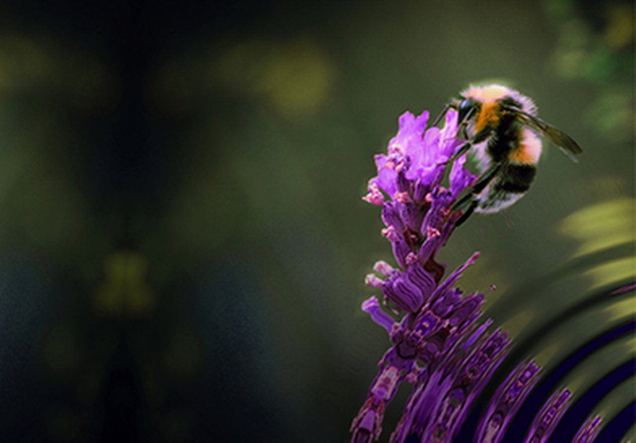 7384_392x273px_CSR Small_image only_How we live_Ph1.jpg