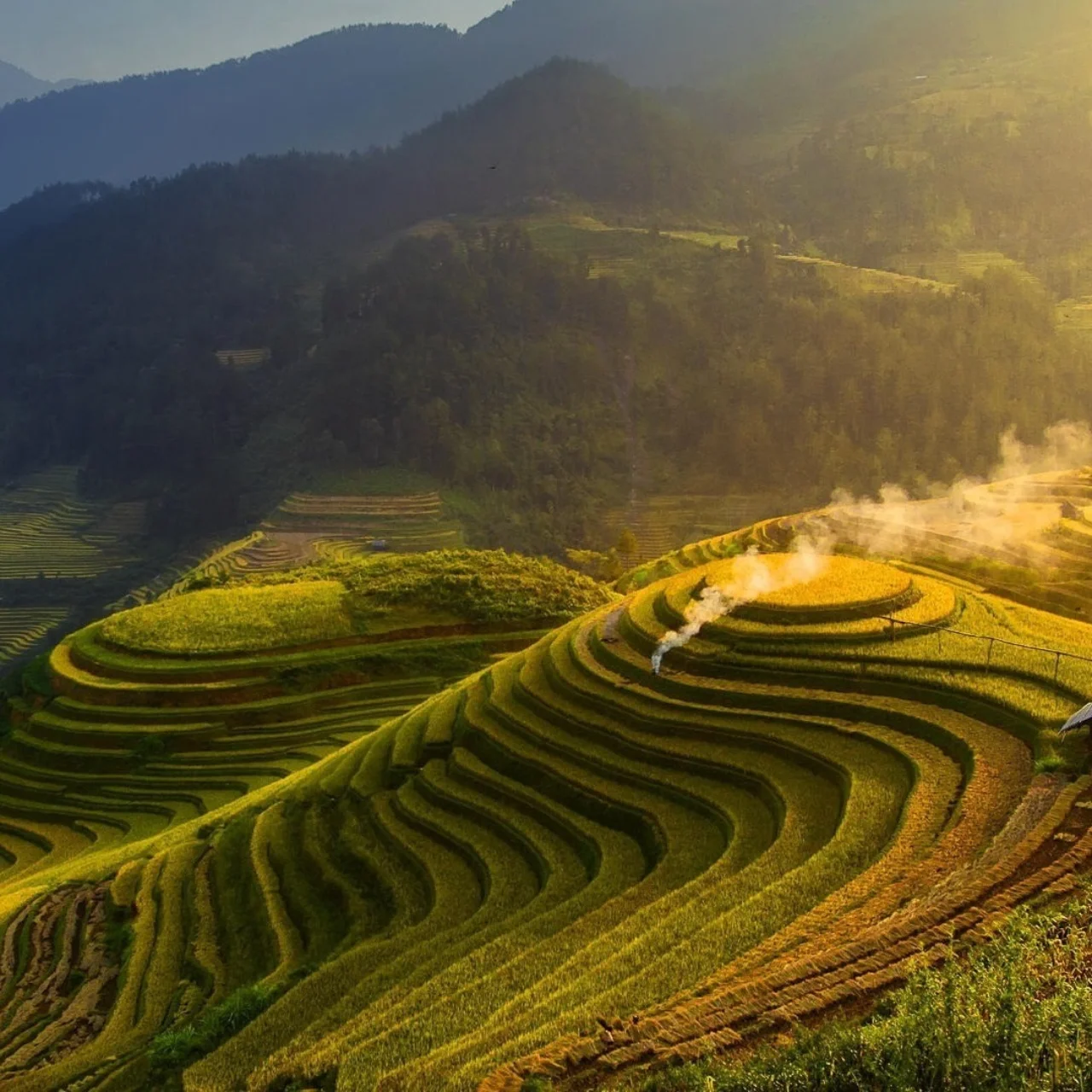 MS windows screensaver beautiful nature