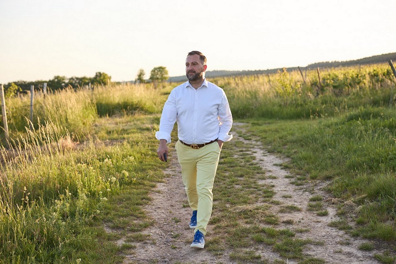 In den Weinbergen