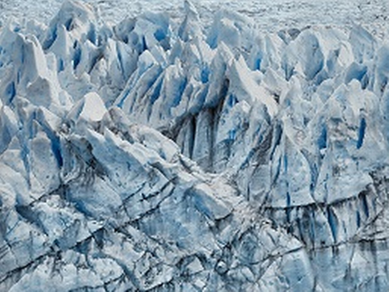 Climate statement – approaches to fighting climate change