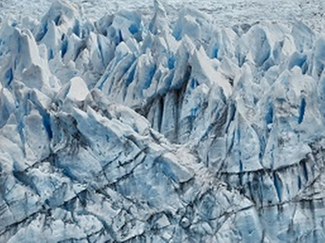Klimaschutzerklärung: Ansätze im Kampf gegen den Klimawandel