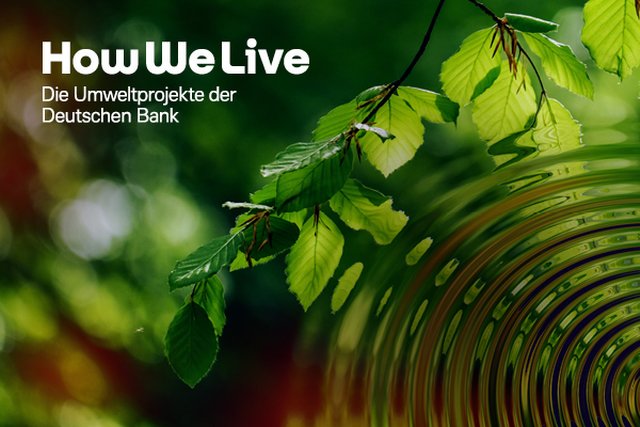 How we live: Die Umweltprojekte der Deutschen Bank – Baumzweig