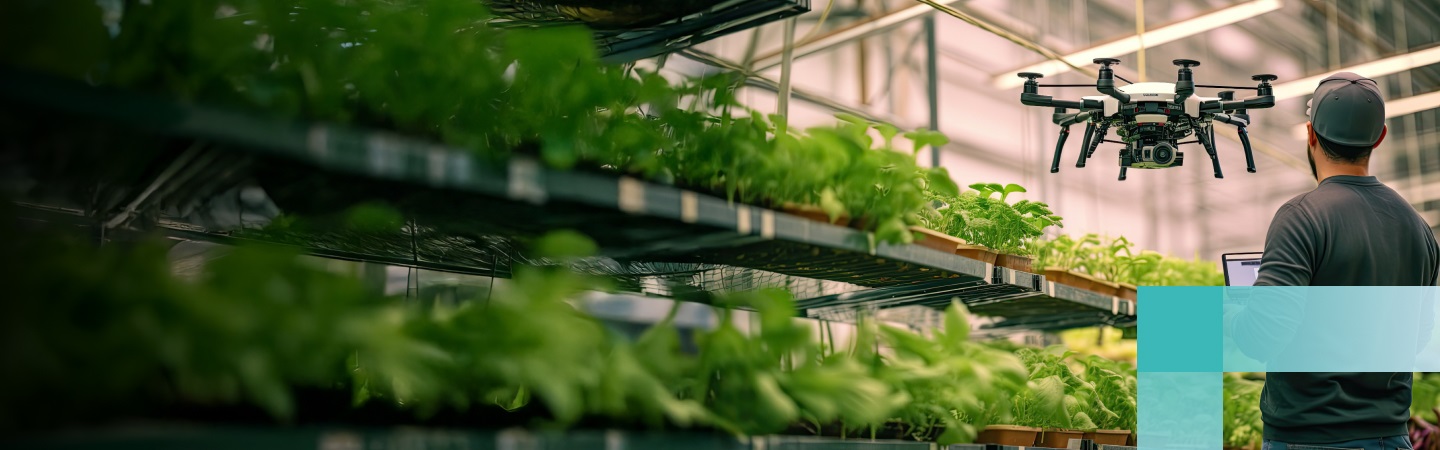 Smart farming: man with drone in greenhouse