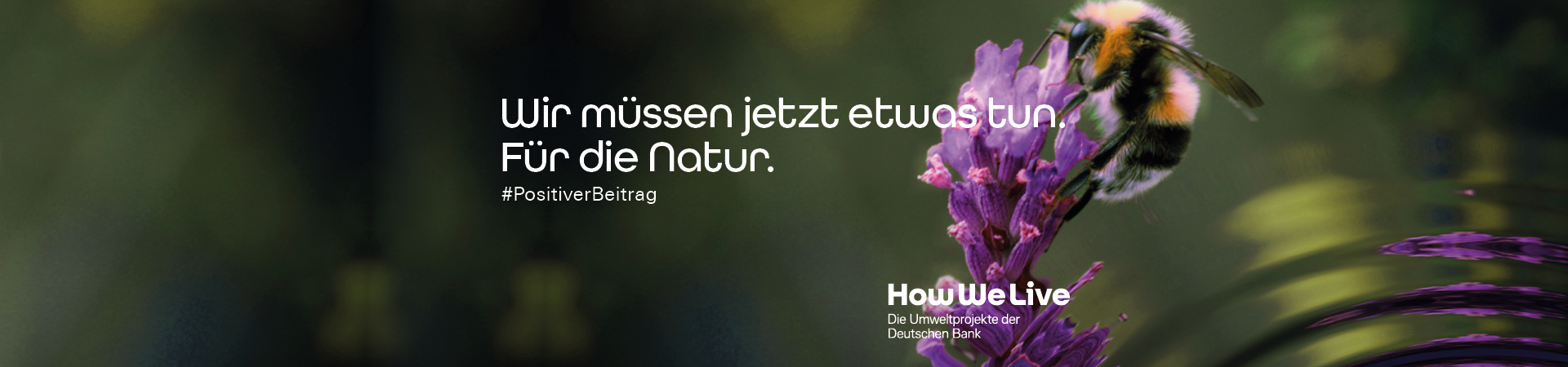 DB_CSR_HWL_1920_450px_NATUR_Desktop.jpg